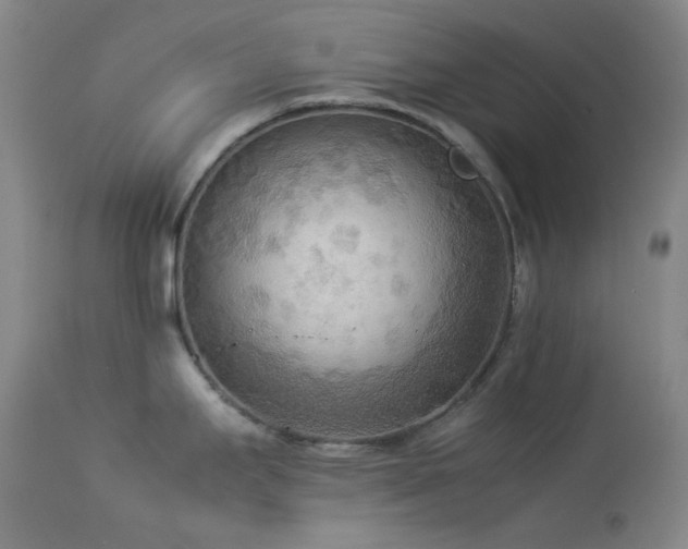 X0000114111295200910051504