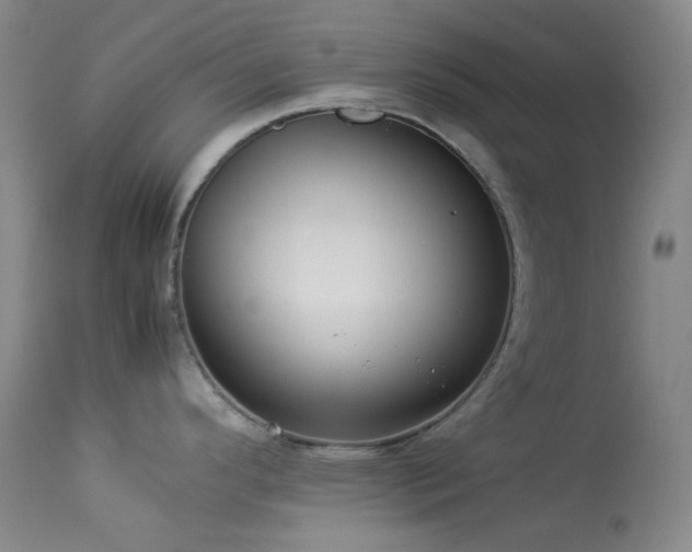 X0000114111296200910051504