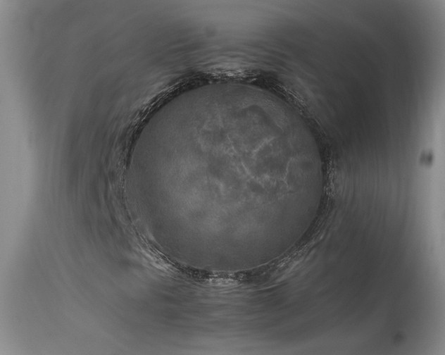 X0000114111297200910051503