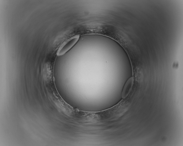 X0000114111298200910051503