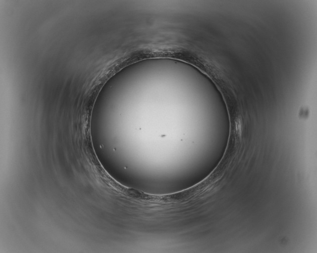 X0000114111300200910051503
