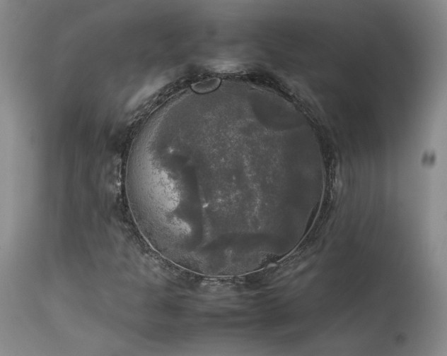 X0000114111301200910051503