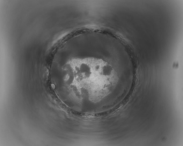 X0000114111302200910051503