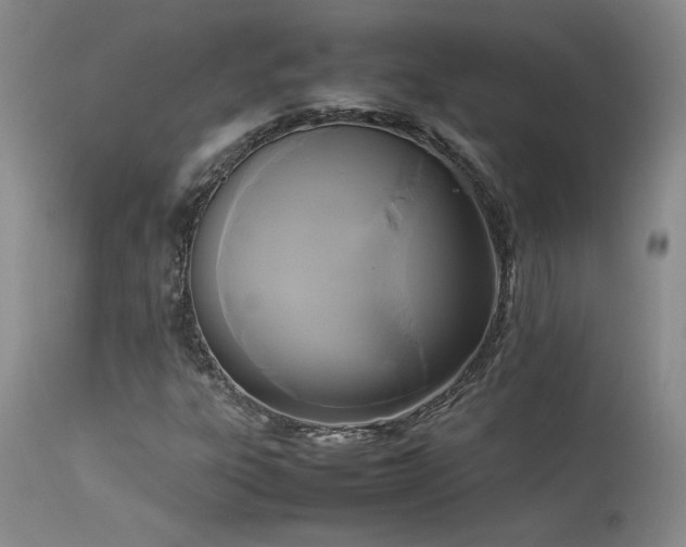 X0000114111303200910051503