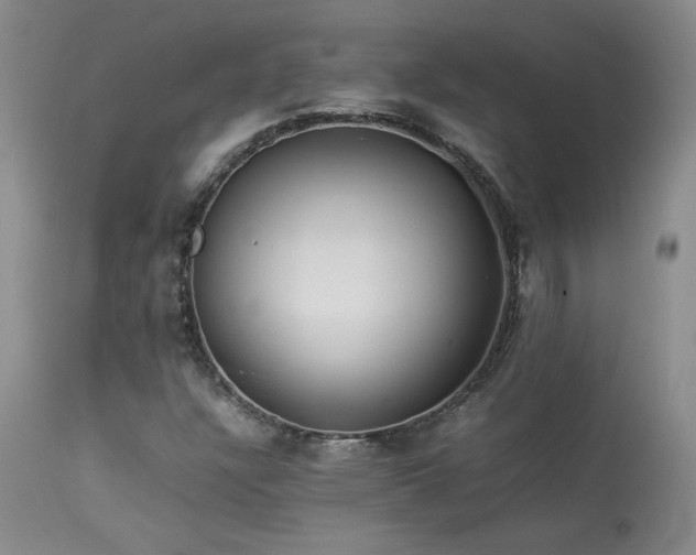 X0000114111304200910051503