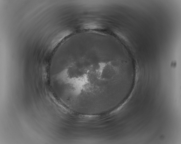 X0000114111305200910051503