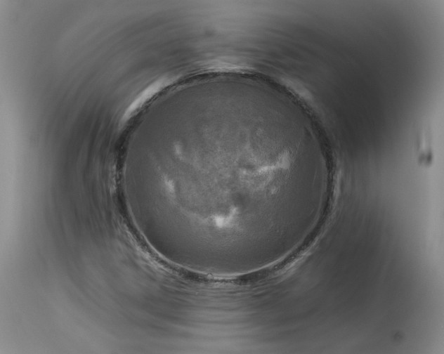 X0000114111306200910051503