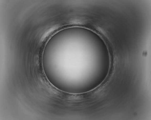 X0000114111307200910051503