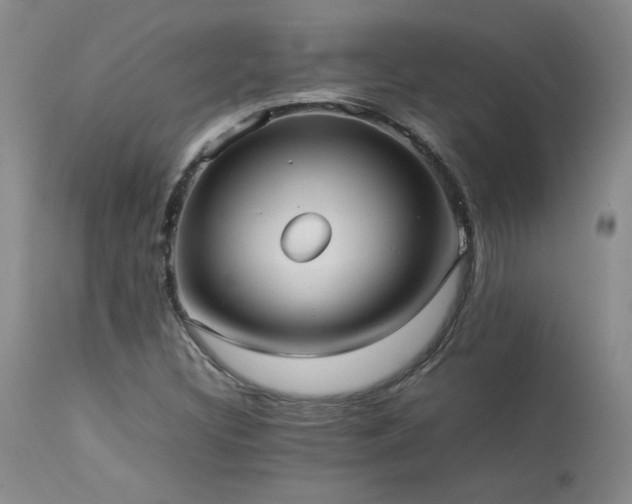 X0000114111308200910051503