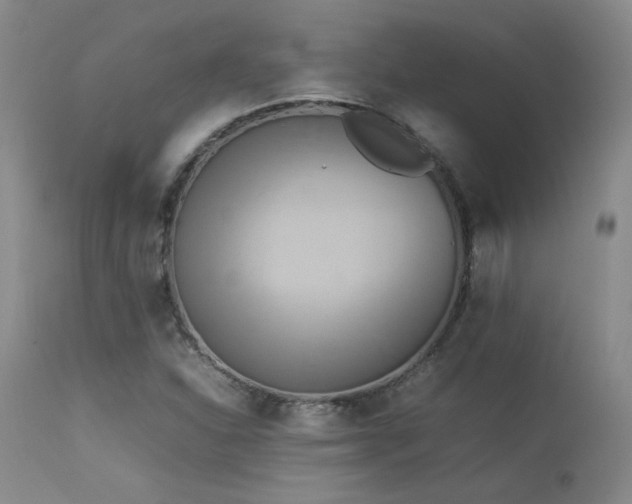X0000114111310200910051503