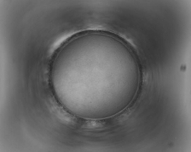 X0000114111311200910051503