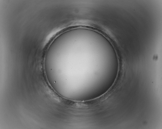 X0000114111312200910051503