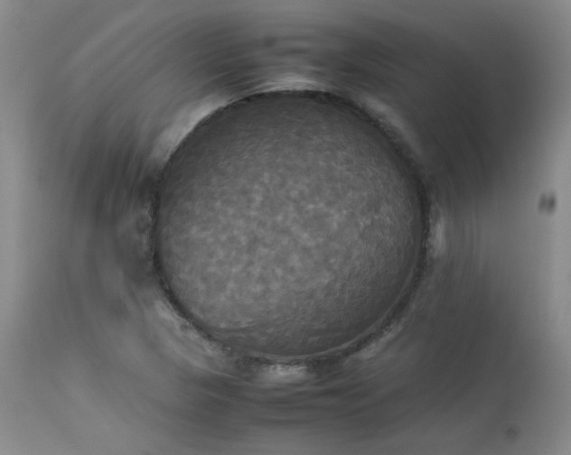 X0000114111313200910051503