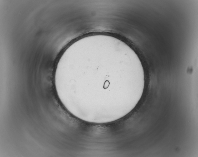X0000114111314200910051503