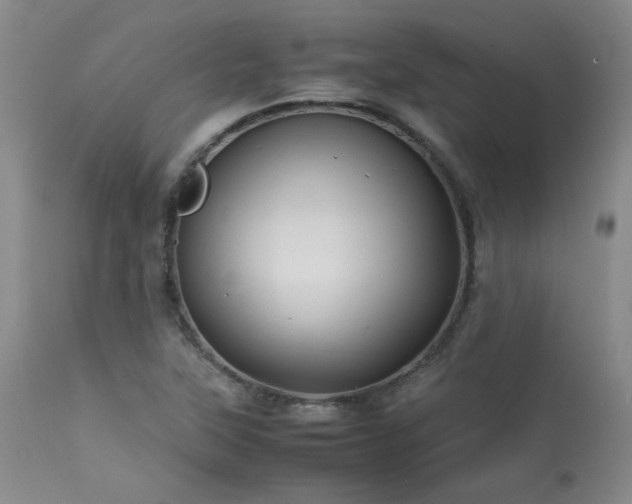 X0000114111315200910051503