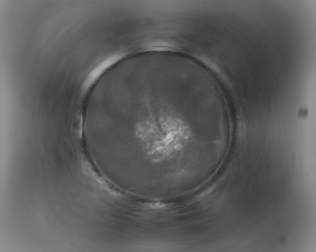 X0000114111317200910051503