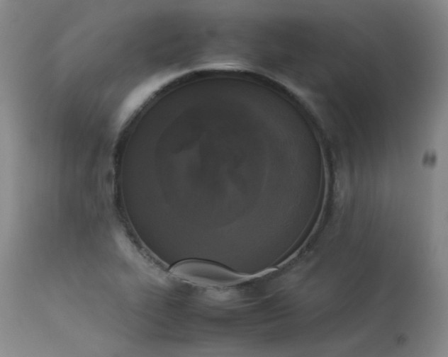 X0000114111319200910051503