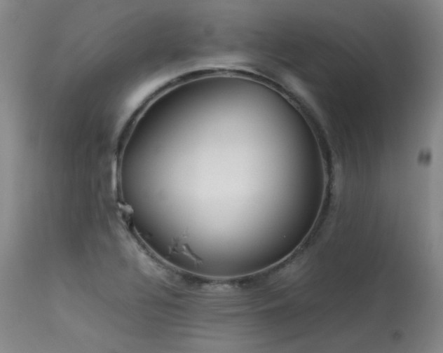 X0000114111320200910051503