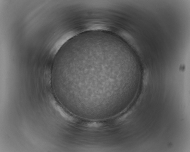 X0000114111321200910051503