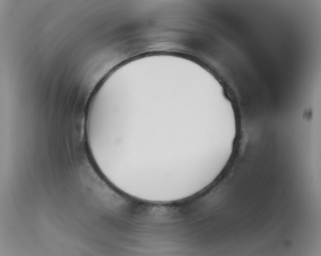X0000114111322200910051503