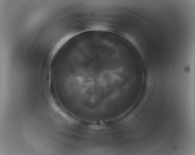 X0000114111323200910051503