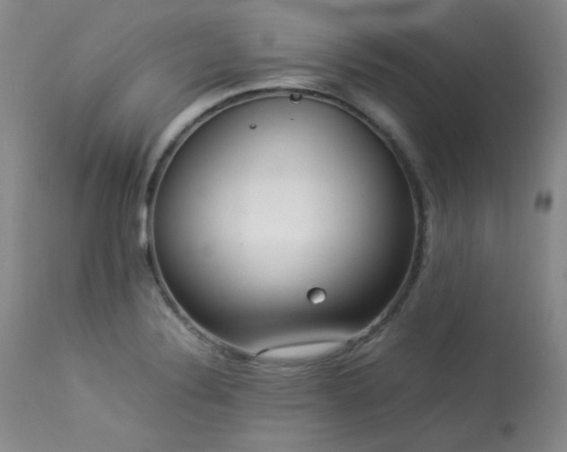 X0000114111324200910051503
