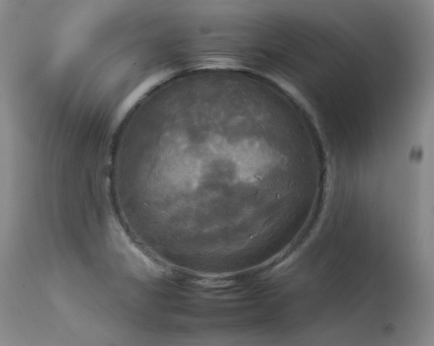 X0000114111325200910051503