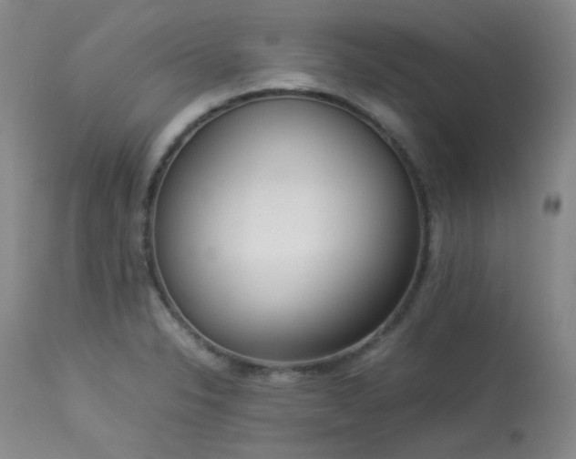 X0000114111326200910051503