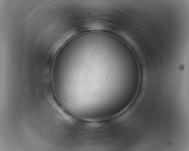 X0000114111329200910051504