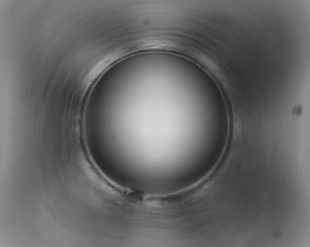 X0000114111330200910051504