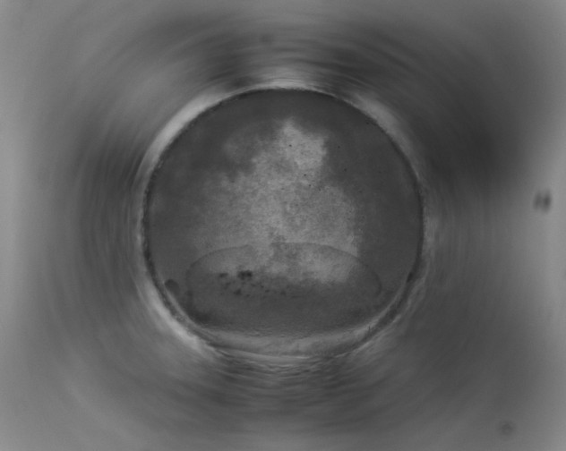 X0000114111331200910051504