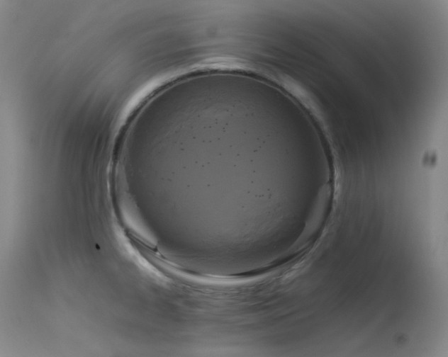 X0000114111334200910051504