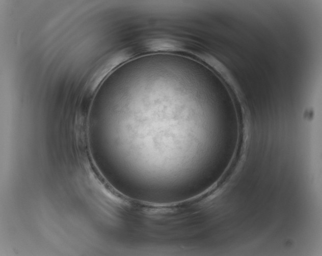 X0000114111337200910051504
