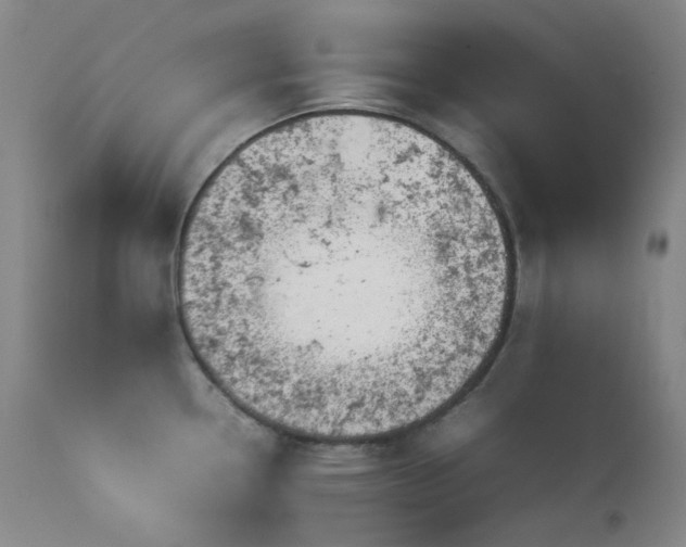 X0000114111338200910051504