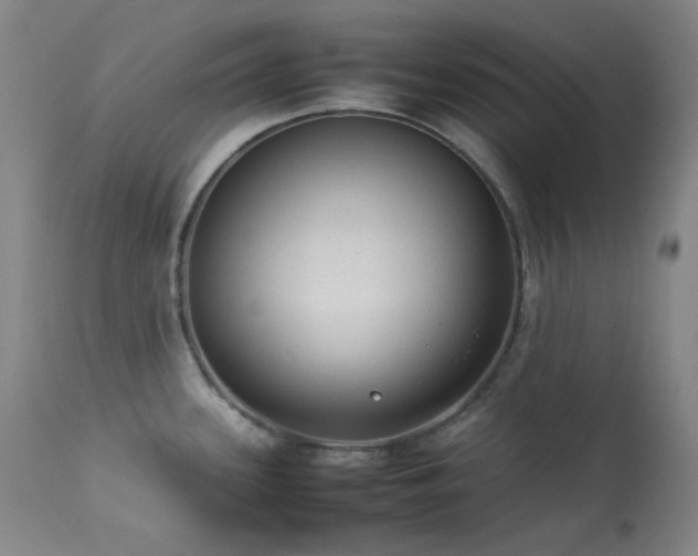 X0000114111339200910051504