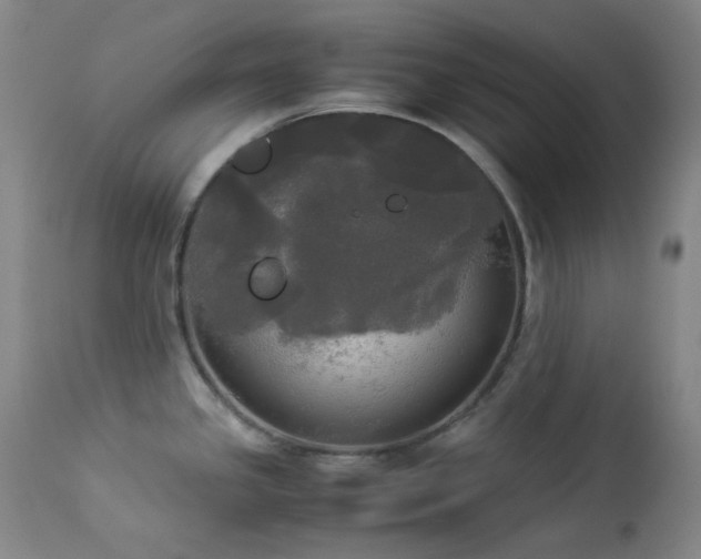 X0000114111341200910051504