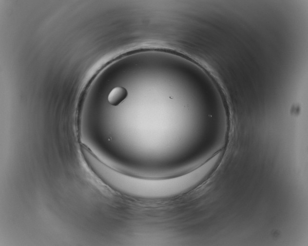 X0000114111342200910051504