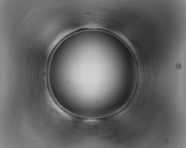 X0000114111343200910051504