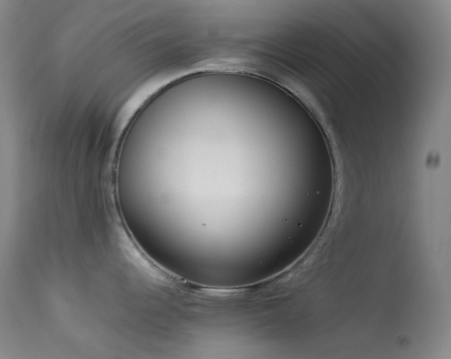 X0000114111344200910051504