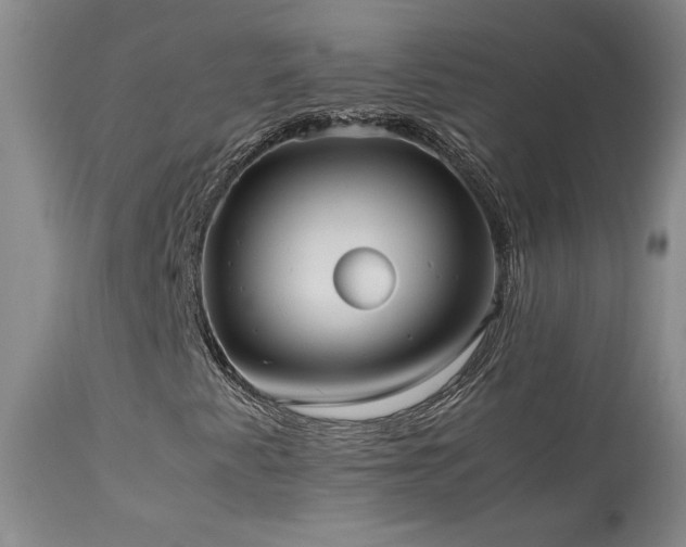 X0000114111345200910051503