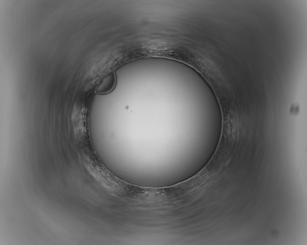X0000114111346200910051503