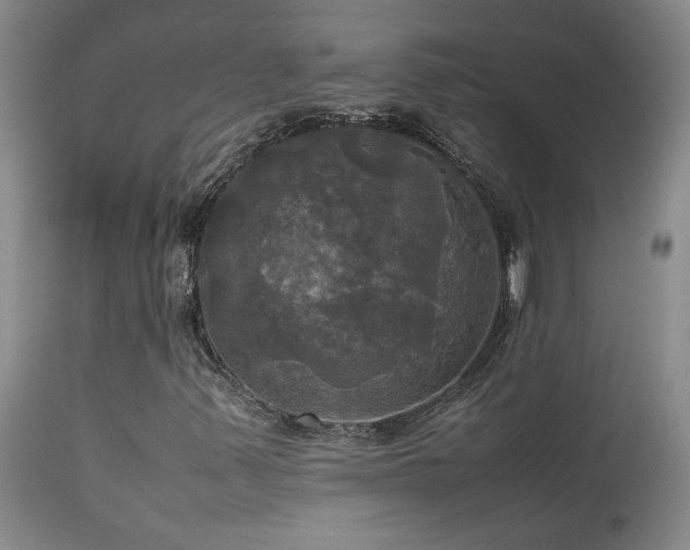 X0000114111347200910051503