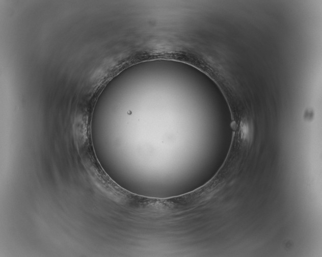 X0000114111348200910051503