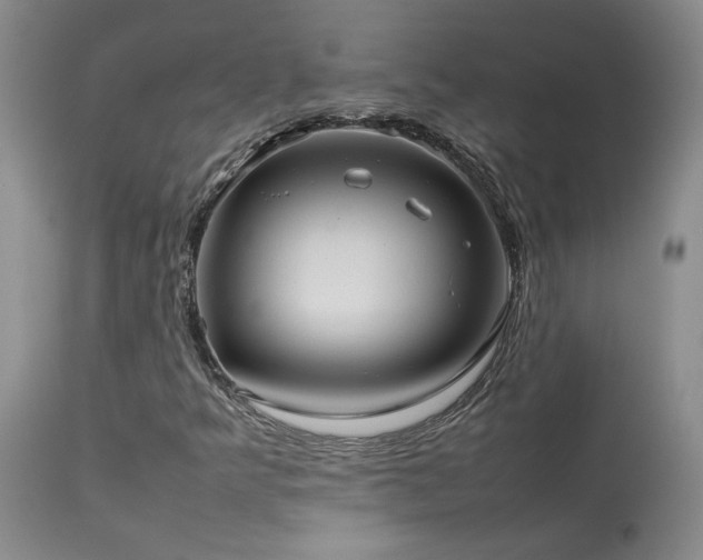 X0000114111349200910051503
