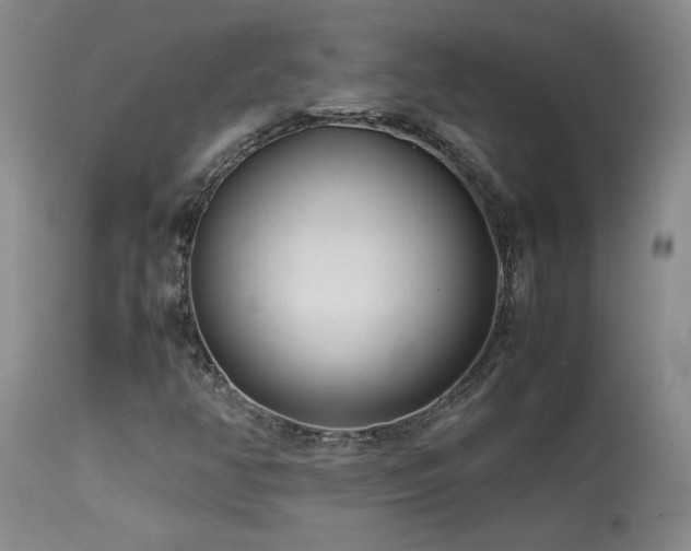 X0000114111350200910051503