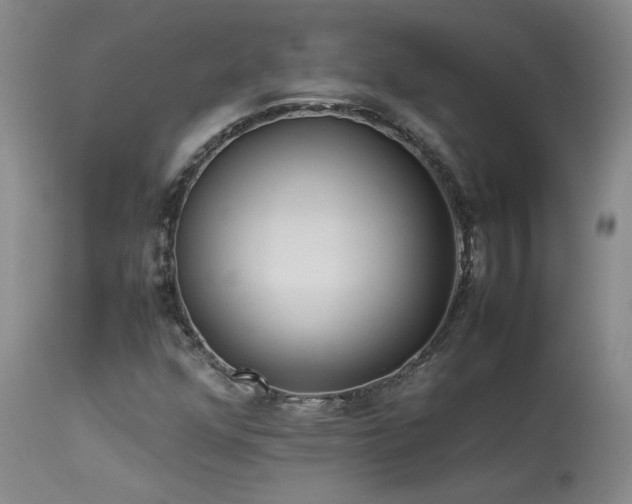 X0000114111352200910051503
