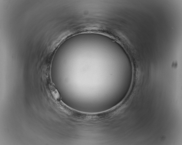 X0000114111353200910051503