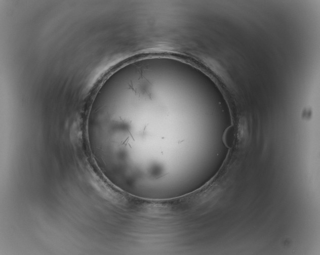 X0000114111356200910051503