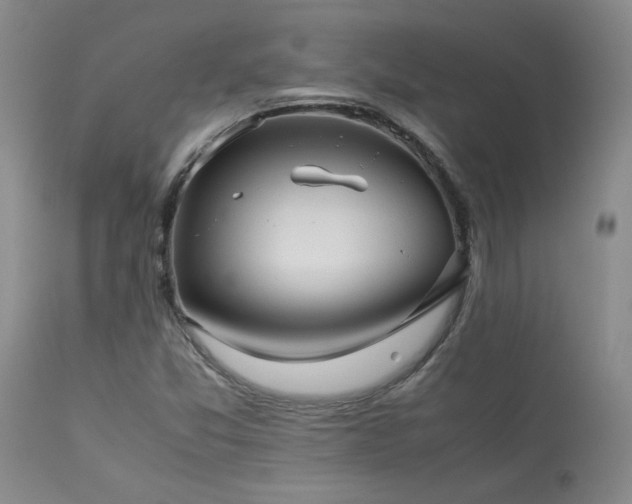 X0000114111357200910051503