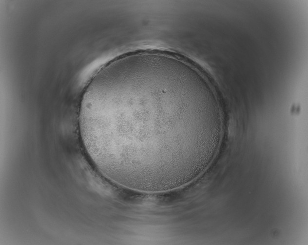 X0000114111359200910051503